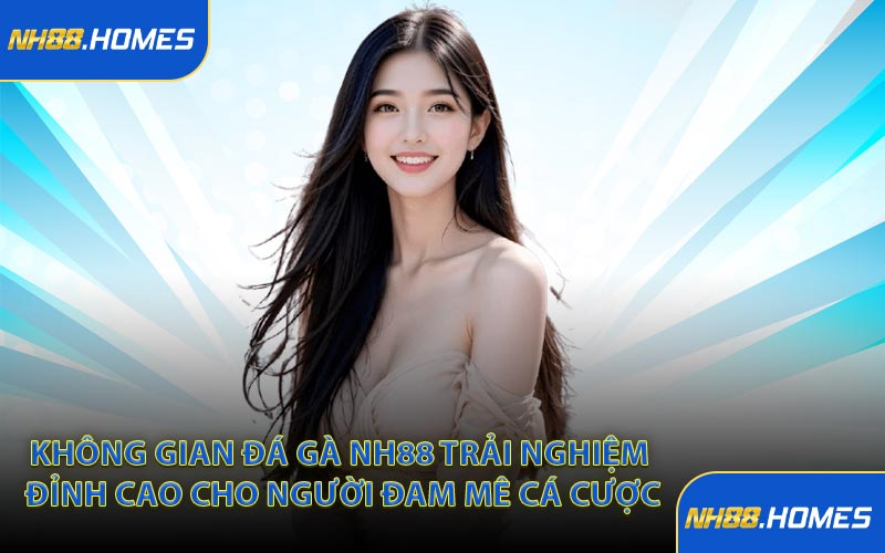 Không gian đá gà NH88 trải nghiệm đỉnh cao cho người đam mê cá cược
